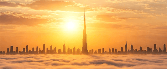 TOP 5 MUST-HAVE SUPPLEMENTS FOR BUSY PROFESSIONALS IN THE UAE - QIMIA NUTRITION