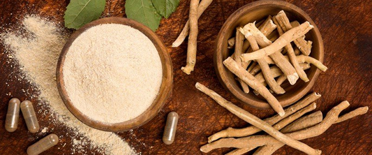 ASHWAGANDHA FOR MEN AND WOMEN: HORMONAL BALANCE, STRENGTH, AND VITALITY