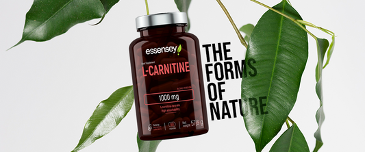 ESSENSEY L-CARNITINE - High Absorption Formula for Active Lifestyles