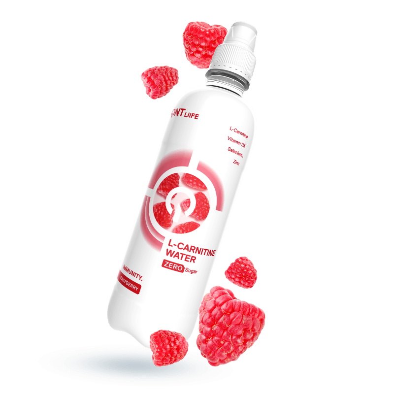 QNT L-Carnitine Water | 12 x 500ml | Zero Sugar Hydration with D3, Zinc & Selenium - QIMIA NUTRITION