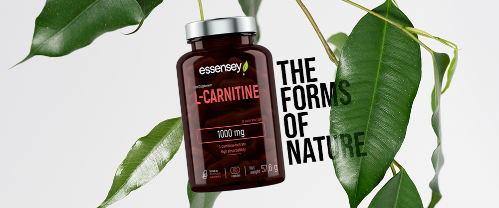 ESSENSEY L-CARNITINE - High Absorption Formula for Active Lifestyles - QIMIA NUTRITION
