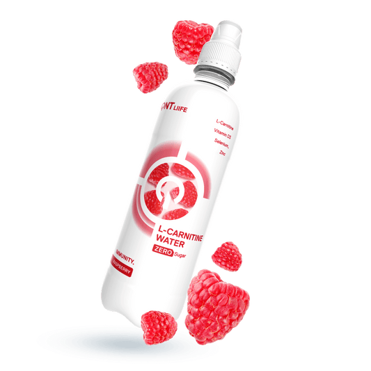 QNT L-Carnitine Water | 12 x 500ml | Zero Sugar Hydration with D3, Zinc & Selenium - QIMIA NUTRITION